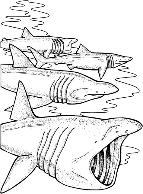 Shark fish coloring page cartoon illustration. Free Shark Coloring Pages