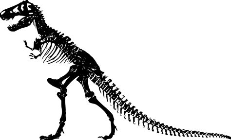 Dinosaur Fossil Template Worksheet24