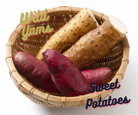 Sweet Potatoes Sweet Potato Yams Wild Yams Whats The Difference