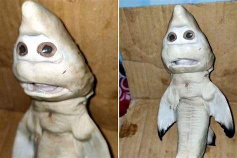 Bizarre Mutant Fish With A ‘human Face Dubbed The Real