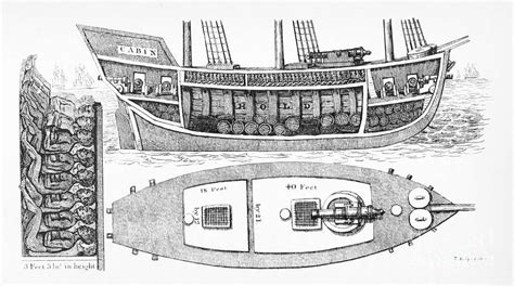 Slave Ship Plan Showing Slaves In Hold Photograph By British Library