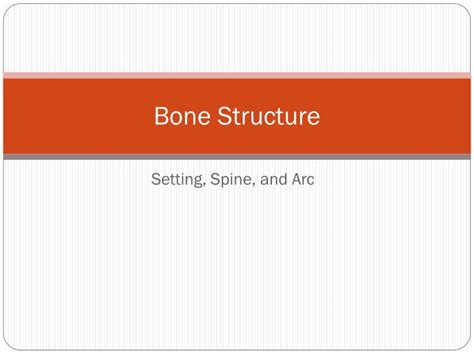 Ppt Bone Structure Powerpoint Presentation Free Download Id6217141