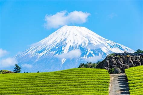 The Top 6 Must See Cities In Shizuoka Prefecture Skyticket Travel Guide