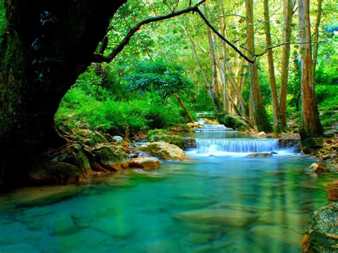 Forest River With Cascades Turquoise Water Rocks Trees Desktop