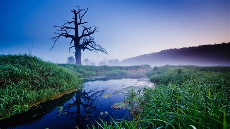 壁纸 阳光 树木 景观 森林 湖 水 性质 反射 日出 早上 薄雾 河 荒野 池塘 黄昏 湿地 山 花