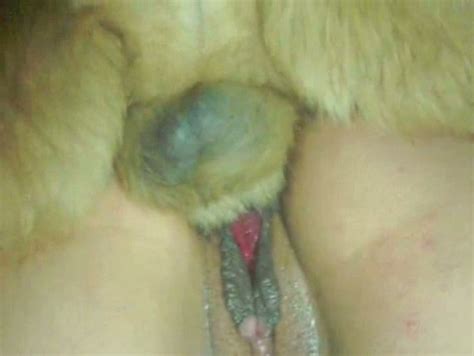 Perro mete la verga en el coño a su dueña Porno Bizarro Sexo Extremo Videos XXX Brutales