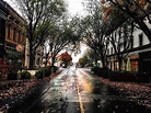 Redwood City Shows Off Its Beauty: Photo Of The Week | Redwood City, CA ...