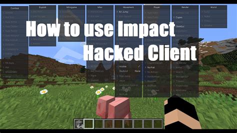 How To Use The Impact Client YouTube