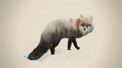 Double Exposure Animal And Landscape Portraits Mad13 Creative Room