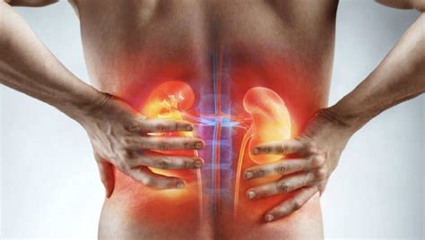 In case of even slight muscle imbalance, a big number of different physiological. How To Know The Difference Between Kidney Pain And Back Pain