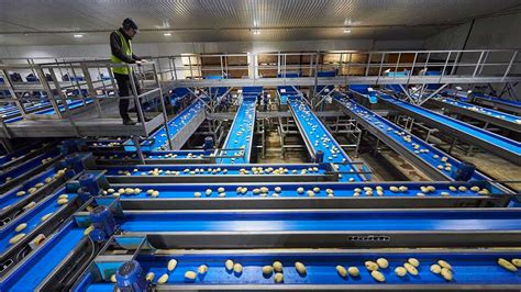 Branston potato suppliers invest in £6m state-of-the-art equipment at ...