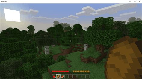 Variety Hunger And Health Mcpe Texture Packs