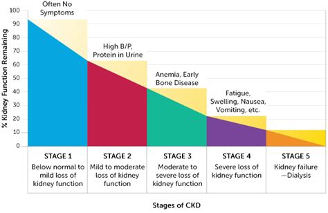 Chronic Kidney Disease