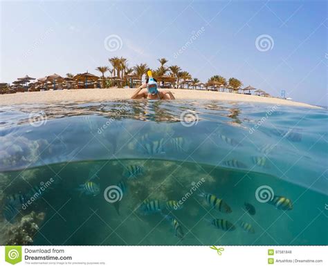 Underwater Surface Split View Of Coral Fish And Resort Beach Wit Stock