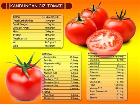 Manfaat Tomat Kandungan Gizi Dan Efek Samping Jagad Id