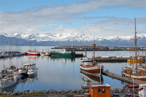 Húsavík Walking Tour With Geosea Extension And Optional Visit To A