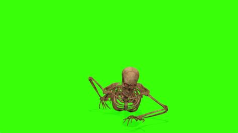 Crawling Attacking Skeleton On A Stock Footage Video 100 Royalty Free