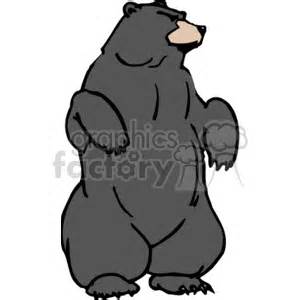 Grizzly Bear Standing Clipart