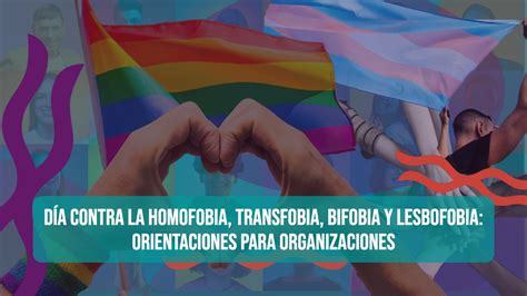 D A Contra La Homofobia Transfobia Bifobia Y Lesbofobia