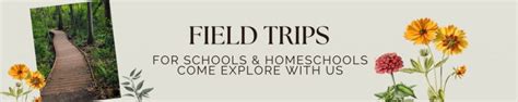 Field Trips And Home School Dates Jacksonville Arboretum And Botanical