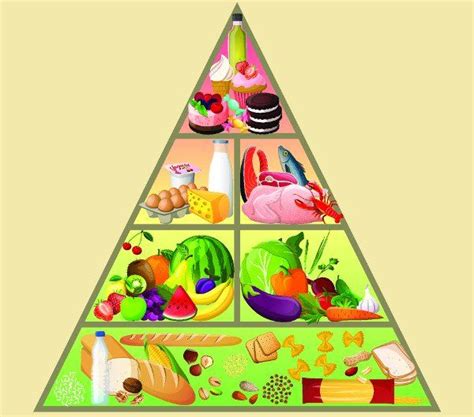 Pin By Gerian Almeida On Basteln Food Pyramid Pyramids Healthy