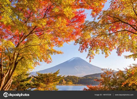 Autumn Tree And Mountain Fuji — Stock Photo © Torsakarin 148157235