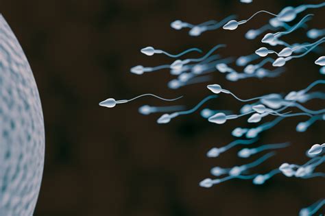 14 Shocking Health Benefits Of Sperm Semen SelfHack