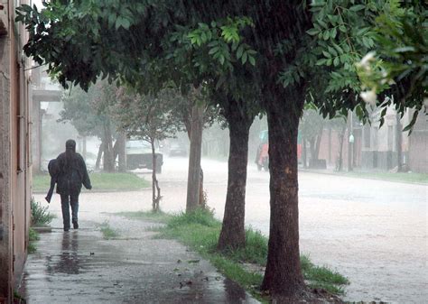 Traducir lluvia significado lluvia traducción de lluvia sinónimos de lluvia, antónimos de lluvia. Se pronostica granizo, fuertes vientos y lluvia