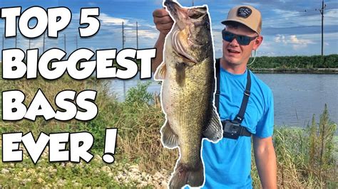 5 Biggest Bass Ever Caught Youtube