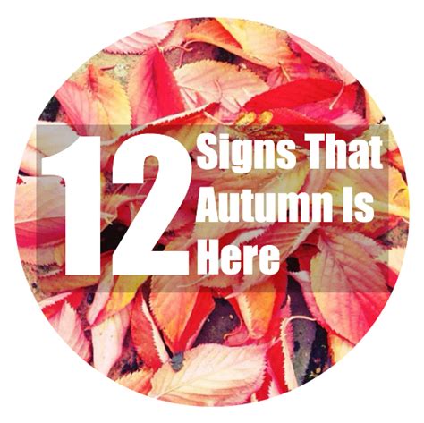 Signs Of Autumn For Kids