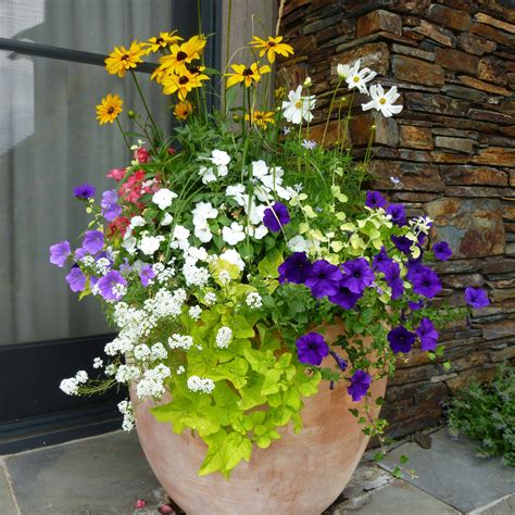 Outdoor Flower Pots Home Thuem Garden Plant