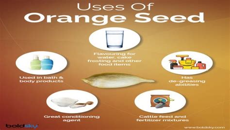 Health Benefits Of Orange Seeds That You Must Know
