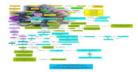 Mapa Conceptual Fundamentos De Las Ciencias Sociales Y Paradigmas De La
