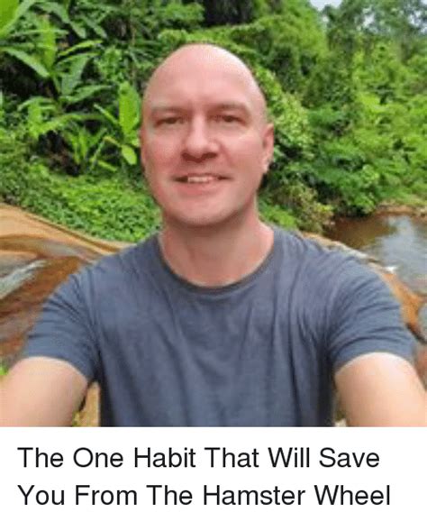 The One Habit That Will Save You From The Hamster Wheel Meme On Meme