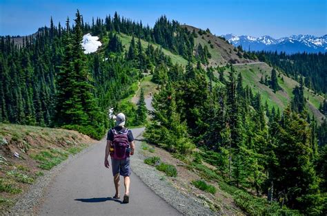 20 Best Hikes In Olympic National Park Go Wander Wild