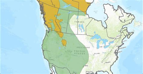 Timeline A History Of Grizzly Bear Recovery In The Lower 48 States
