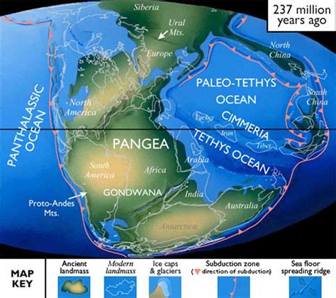 By Late Triassic As The Formation Of Pangea Was Complete Pangea Began