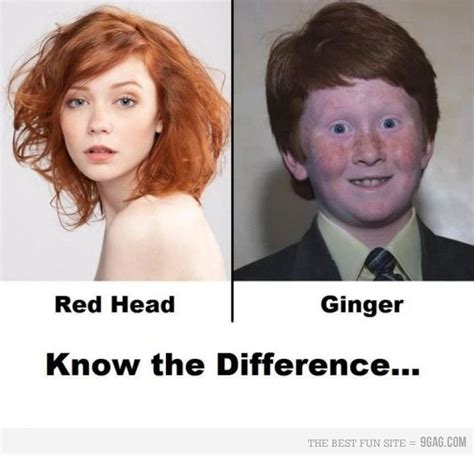 red head ftw redheads ginger meme funny meme pictures