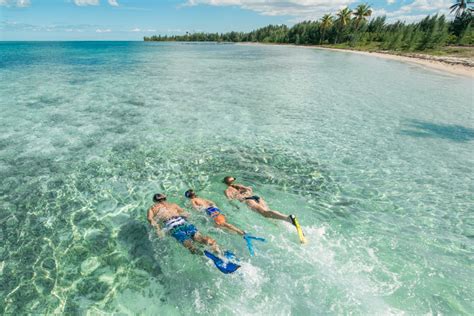 freeport bahamas excursions snorkelling off grand bahama bahamas air tours