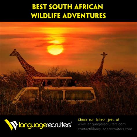 Best South African Wildlife Adventures