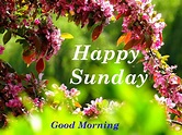 Top 10 Happy Sunday Good Morning Images, Greetings, Pictures Whatsapp ...