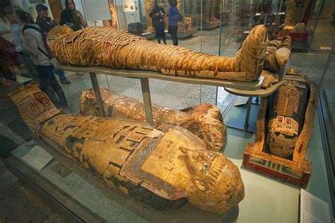 Egyptian mummies British Museum Bloomsbury London с Robert Harding Productions British