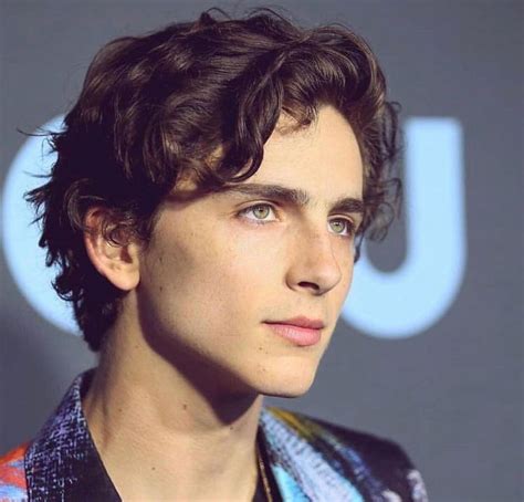 Boys Male Face Claims Timothee Chalamet Wattpad