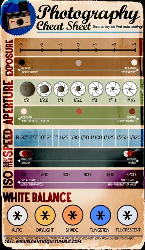 Manual Camera Settings Cheat Sheet For Canon