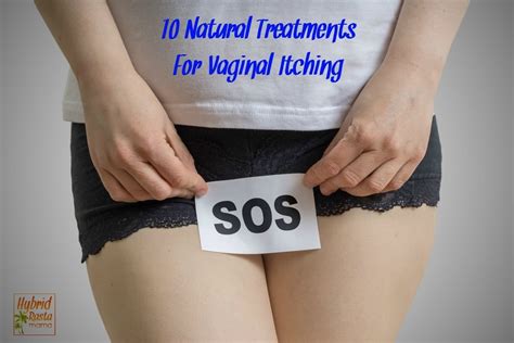 Ways To Stop Vaginal Itching Hybrid Rasta Mama