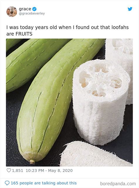 People Are Sharing The Random Things They Found Out When They Were