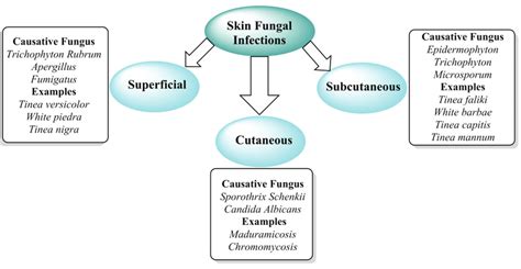 Types Of Skin Fungal Infections Download Scientific Diagram