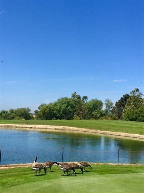 Twin Creeks Golf Course Salinas California