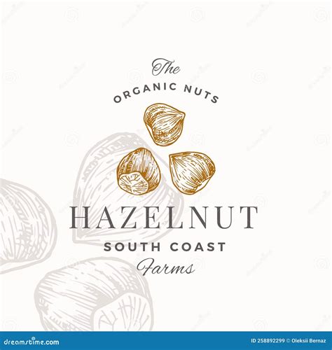 Hazelnut Logo Template Hand Drawn Nuts Sketch With Retro Typography