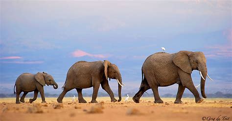 Big, Bigger, Biggest